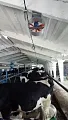 СПК Колос 2.6