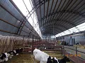 СПК Колос 11