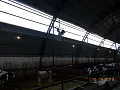 СПК Колос 5