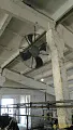 Колос3 (7)