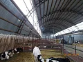 СПК Колос 10